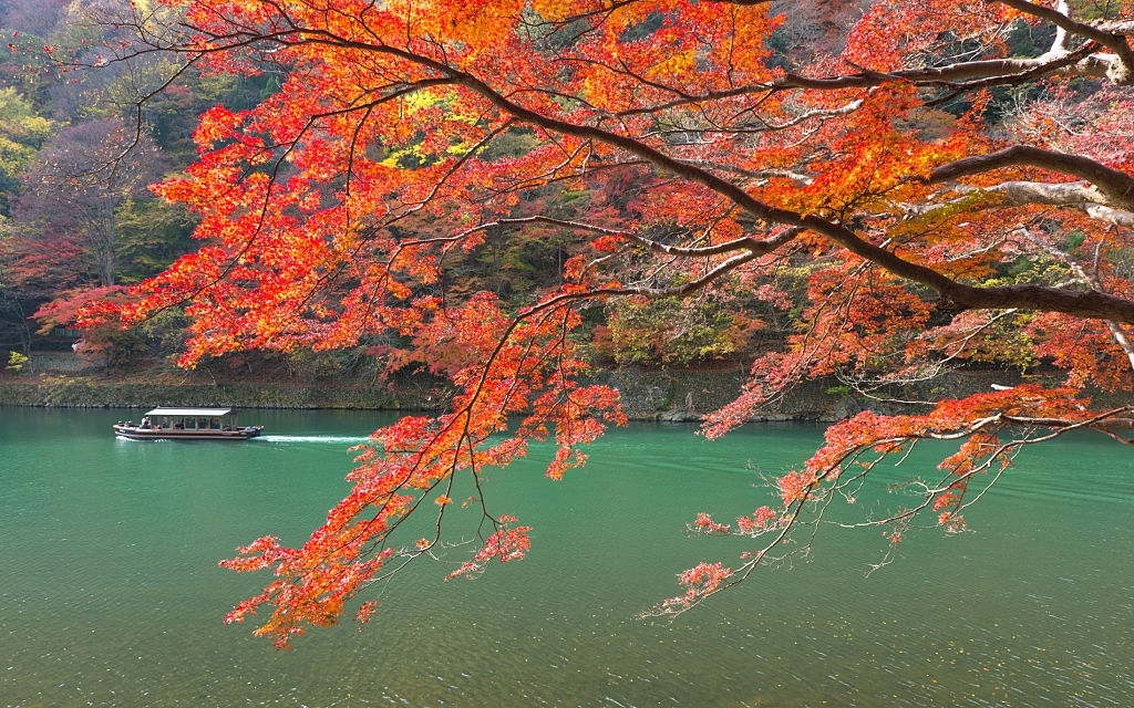 Katsura Trees Varieties