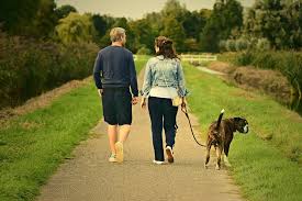 Couple Walking their dog in a park Walk 
