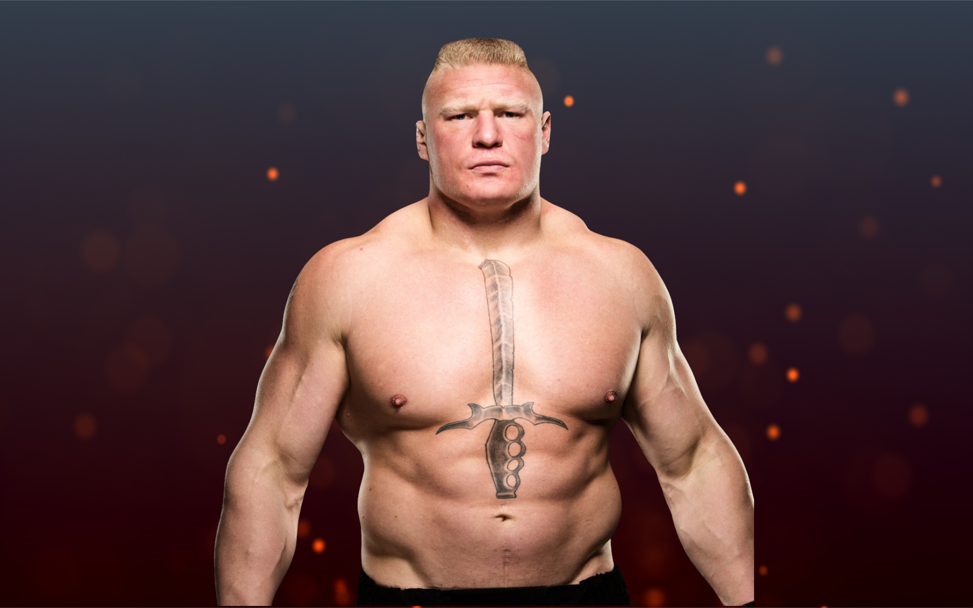 WWE Beast Brock Lesnar Net Worth Fix The Life