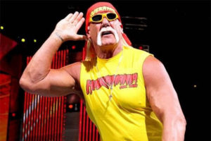 hulk hogan net worth