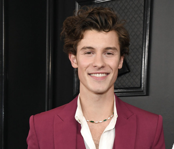 Shawn Mendes Net Worth