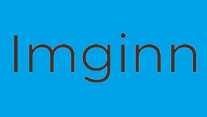 Imginn logo