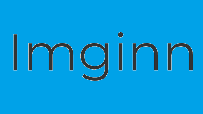 Imginn logo