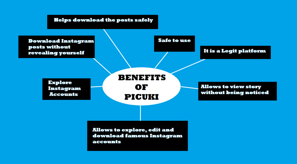 Benefits of Picuki? 