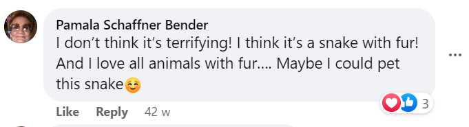 furry green snake comments