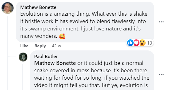 furry green snake comments