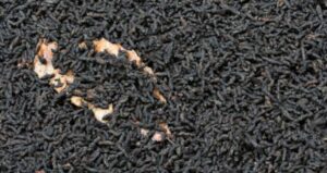 bat poop