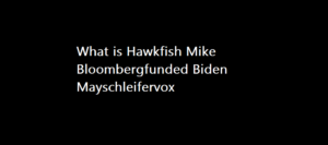 hawkfish mike bloombergfunded biden mayschleifervox