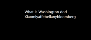washington dod xiaomiyaffebellanybloomberg