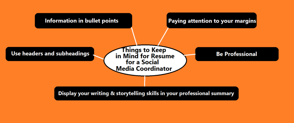 social media coordinator resume samples essential points