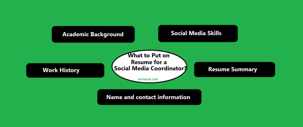 What to include in a social media coordinator resume samples