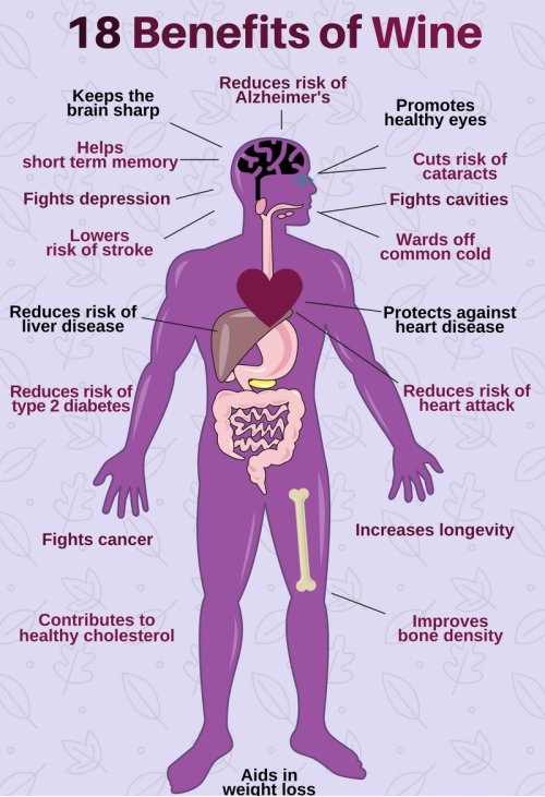 Health Benefits of Red Wine