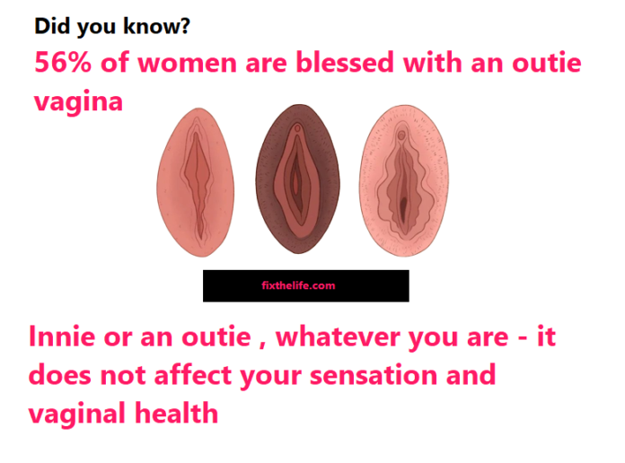 What Percent Of Women Have Outie Vaginas