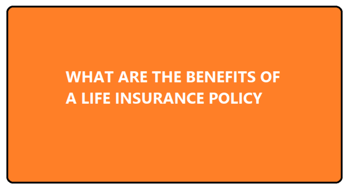 life insurance policy benefits