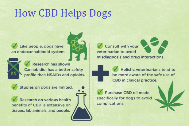 CBD Products For Dogs Can Help