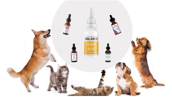 CBD Products For Pets
