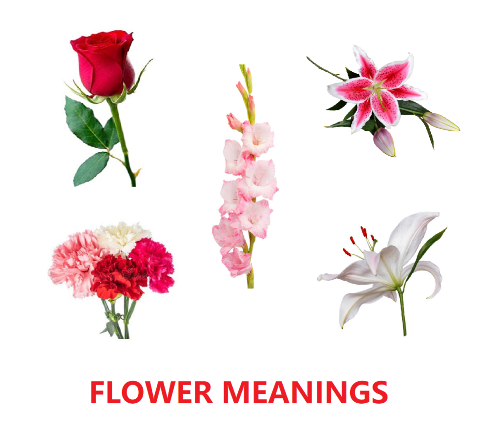 Flower Meanings How To Make Sure The Flower Matches The Occasion fixthelife