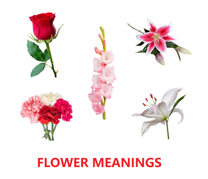 Flower Meanings