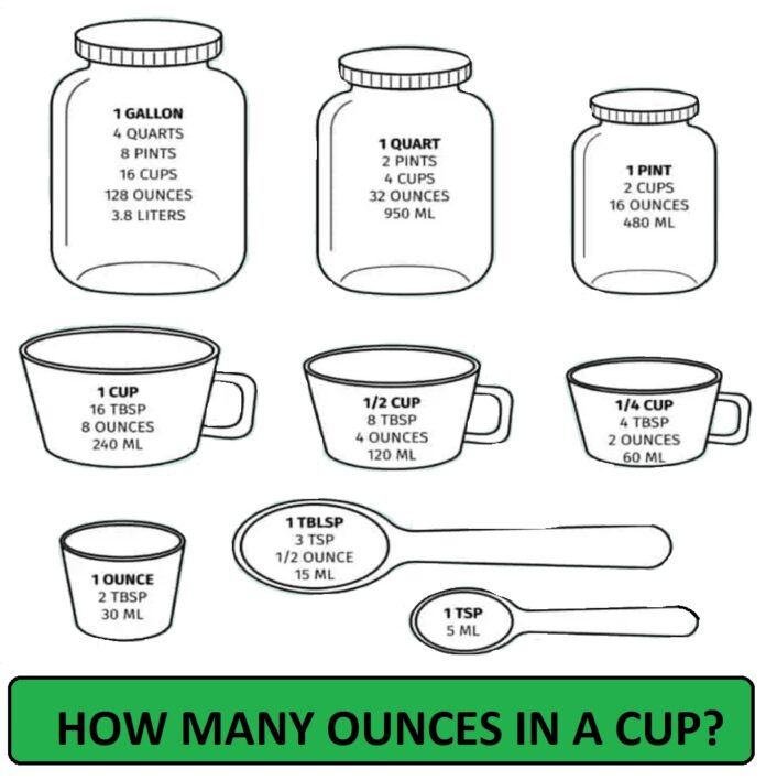 How Many Ounces Are In A Cup? - fixthelife