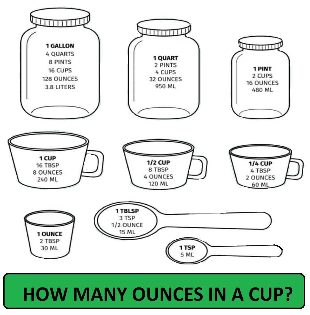 How Many Ounces In A Cup 2024 Chart Barby Carlynn
