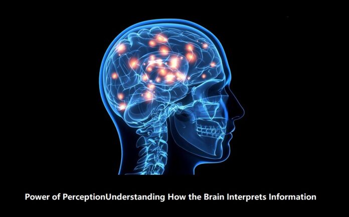 The Power of Perception: Understanding How the Brain Interprets Information