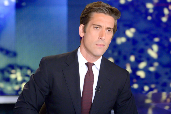 DAVID MUIR GAY