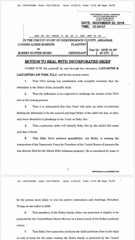 DNA report of Hunter Biden proving Navy Joan Roberts as her daughter