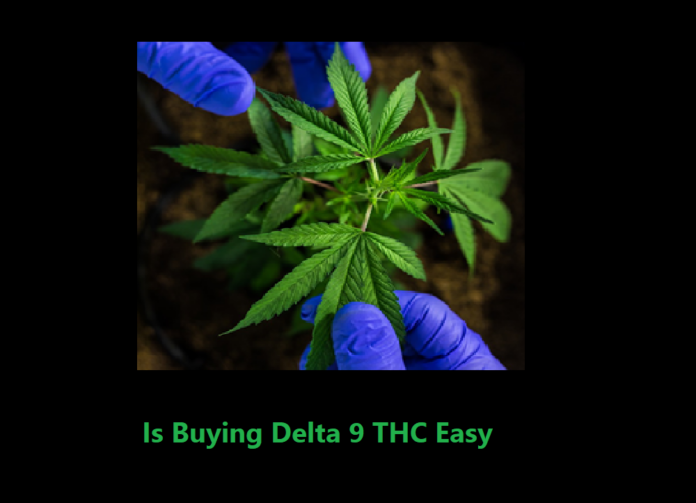 Is Buying Delta 9 THC Easy