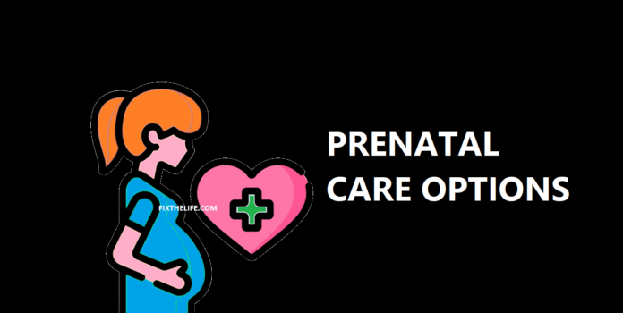 PRENATAL CARE OPTIONS