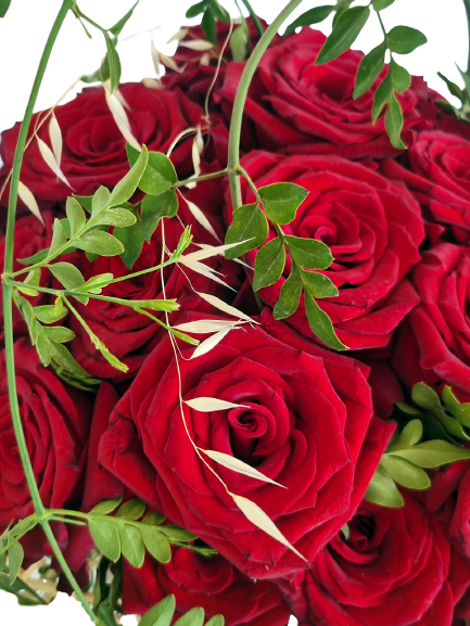 Rose Monte Carlo