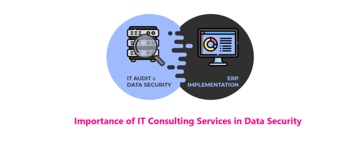 Importance of IT Consulting Services in Data Security