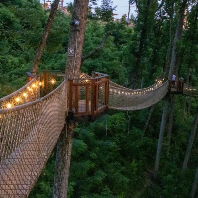 Treetop Skywalk Tennessee Tree Walk in Gatlinburg