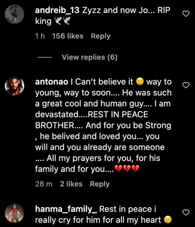 Fans and Friends mourning Joesthetics death 