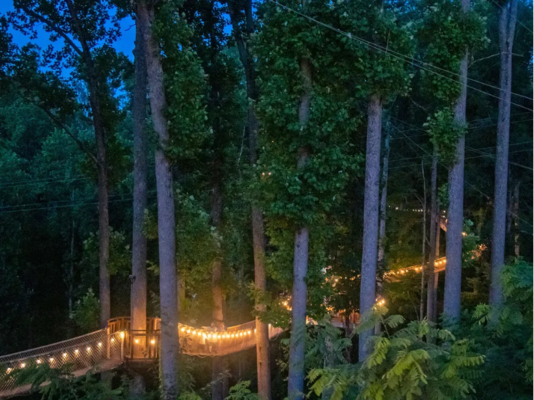 Treetop Skywalk: Tree Walk in Gatlinburg at night
