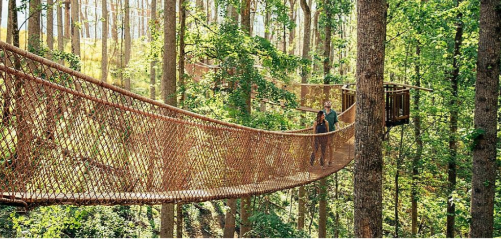 Treetop Skywalk: Tree Walk in Gatlinburg