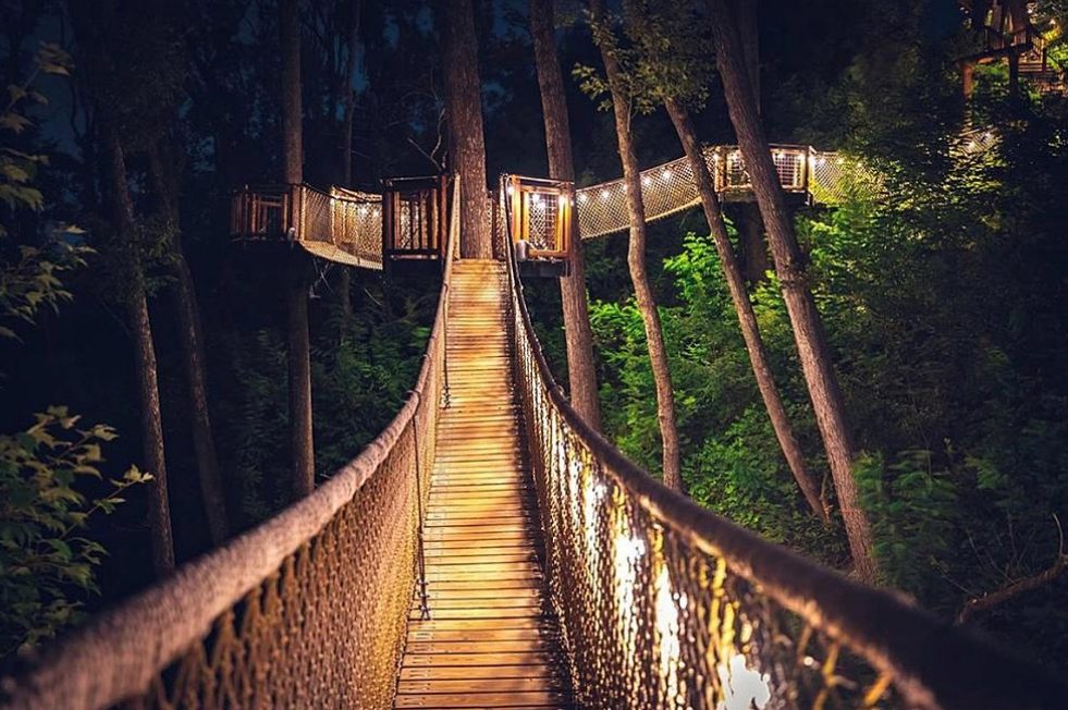 Treetop Skywalk: Tree Walk in Gatlinburg at night