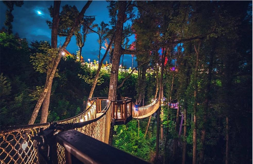 Treetop Skywalk: Tree Walk in Gatlinburg at night