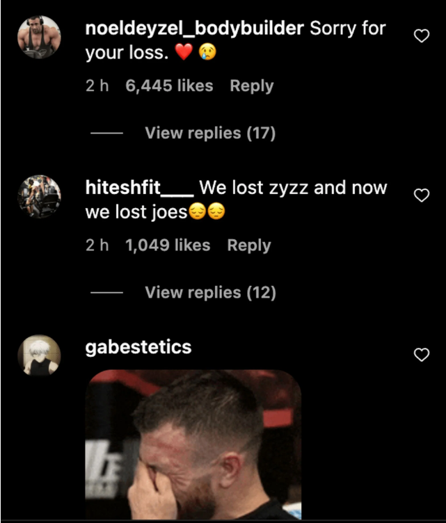 Fans and Friends mourning Joesthetics death