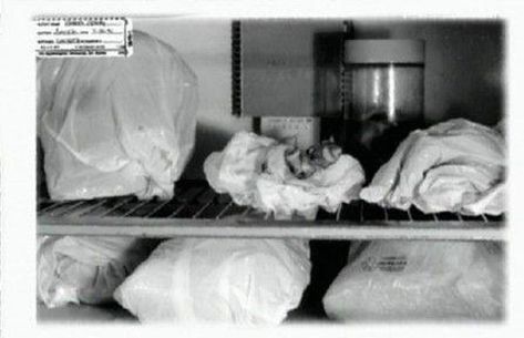 A Graphic Look Inside Jeffrey Dahmer’s Dresser Drawer