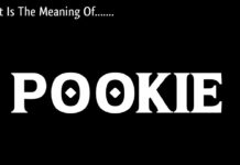 What does Pookie Mean? Exploring its Usage what does pookie mean