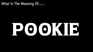 what does pookie mean