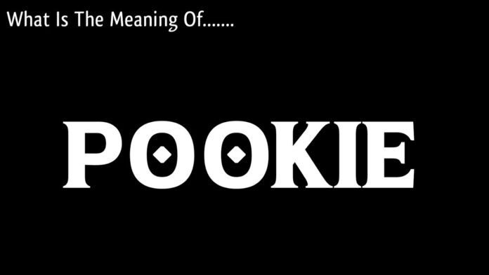 what does pookie mean