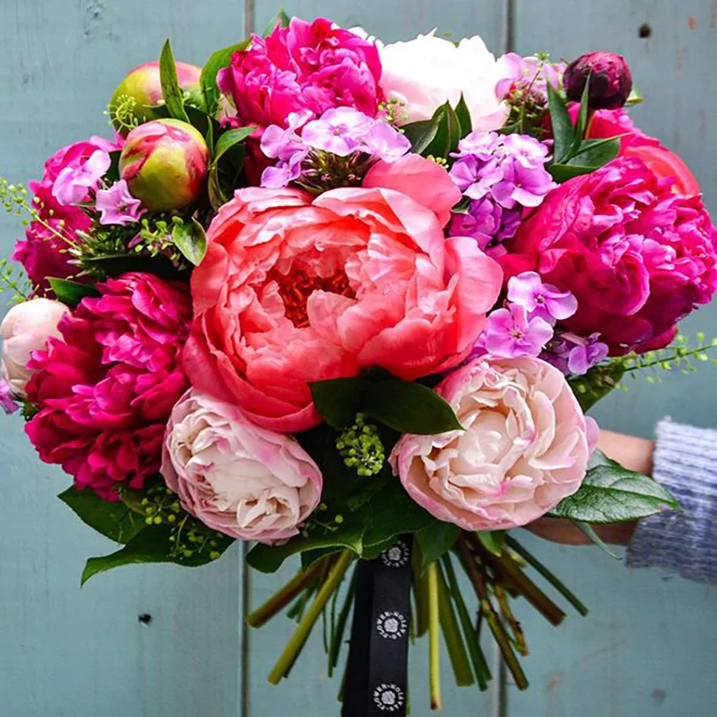 Peony Color Meaning in Dreams