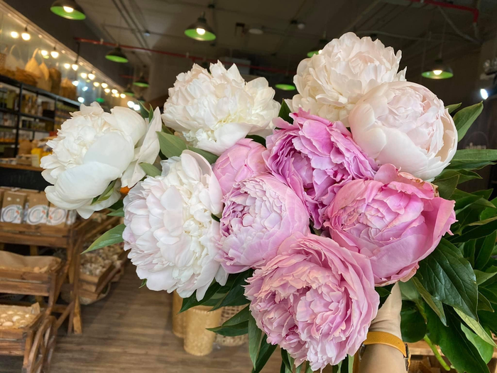 Peony Color and Feng Shui