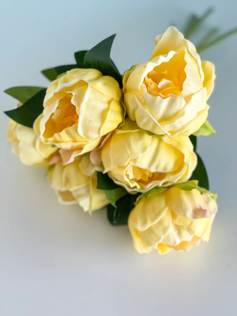 Yellow Peony